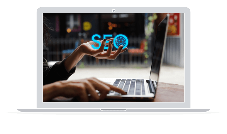 SEO Auckland